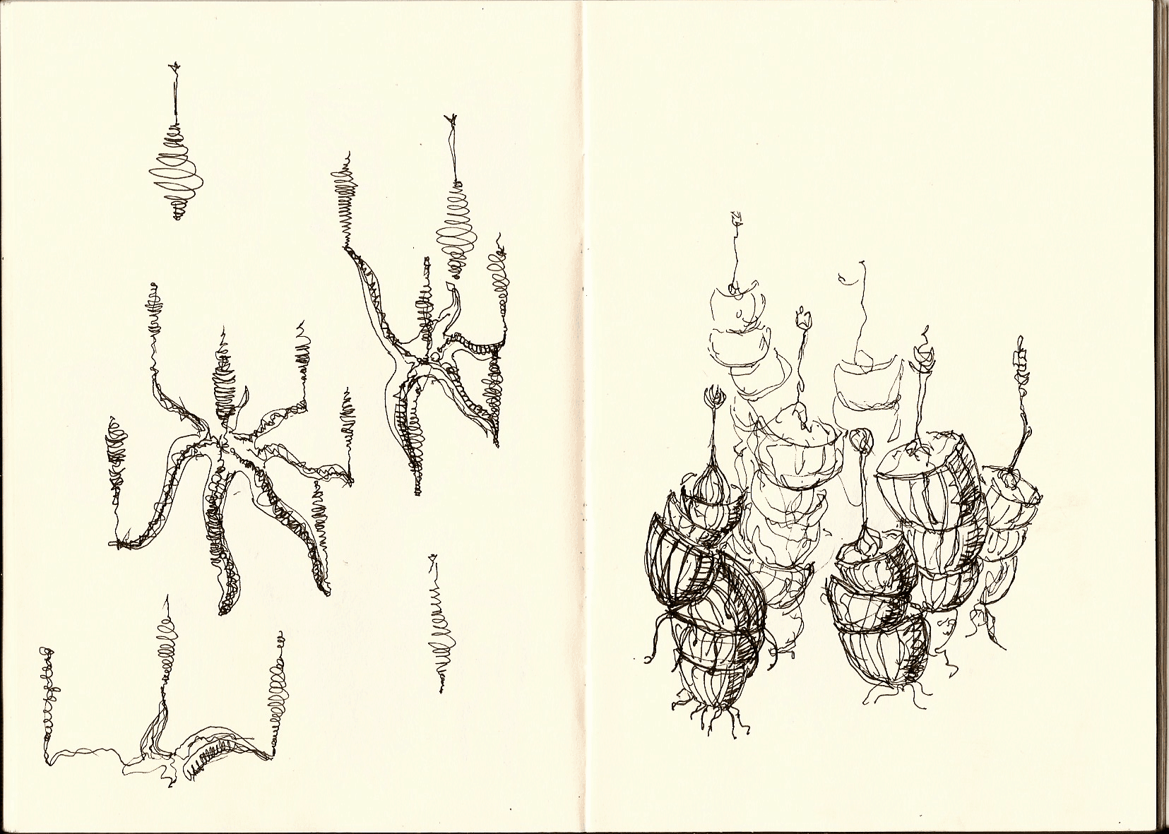Surreal organisms — 2 of 11