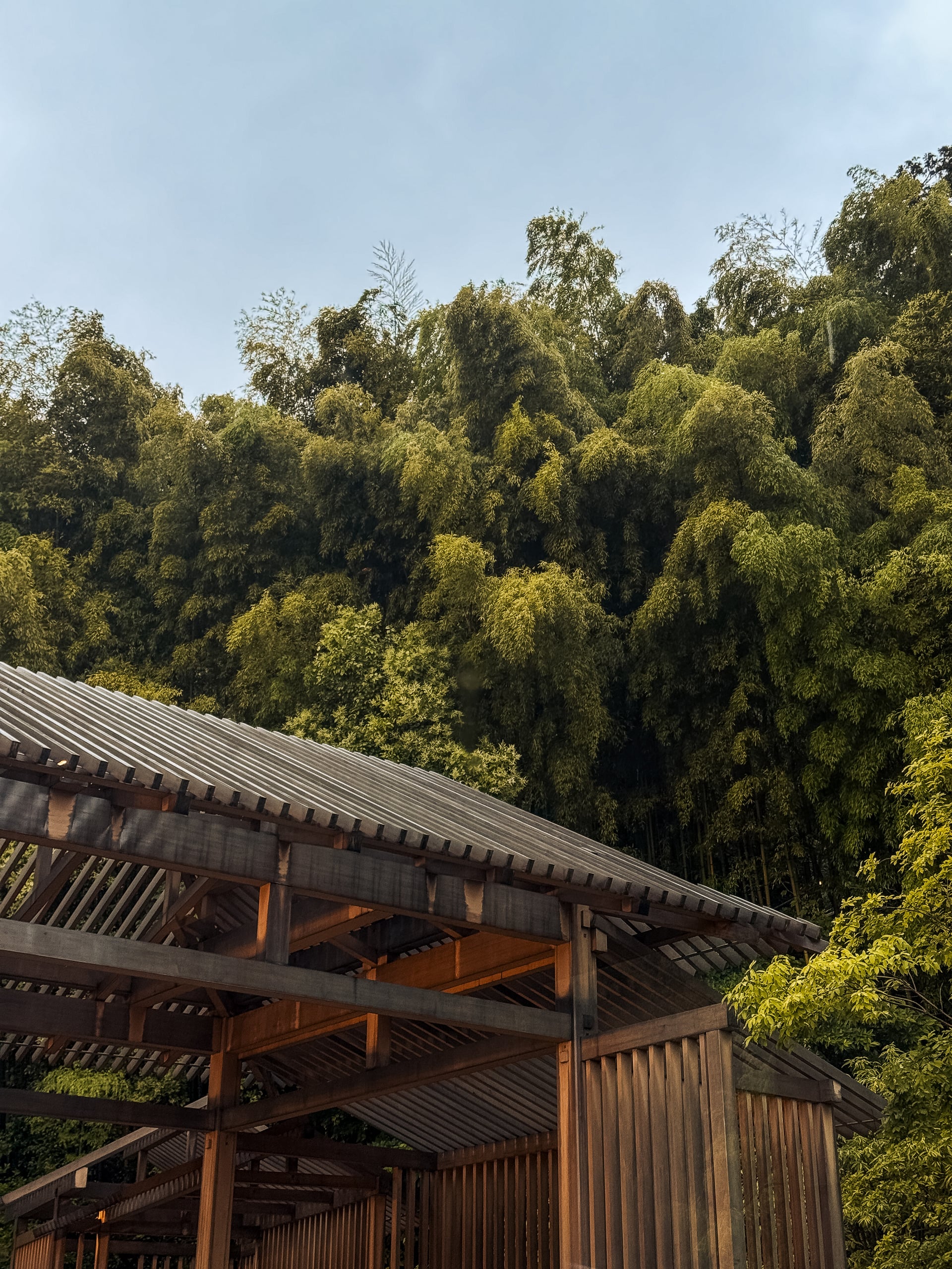 Banyan Tree Kyoto, Kyoto, Japan — hospitality photograph 5 of 11 by Adrien Lahoussaye