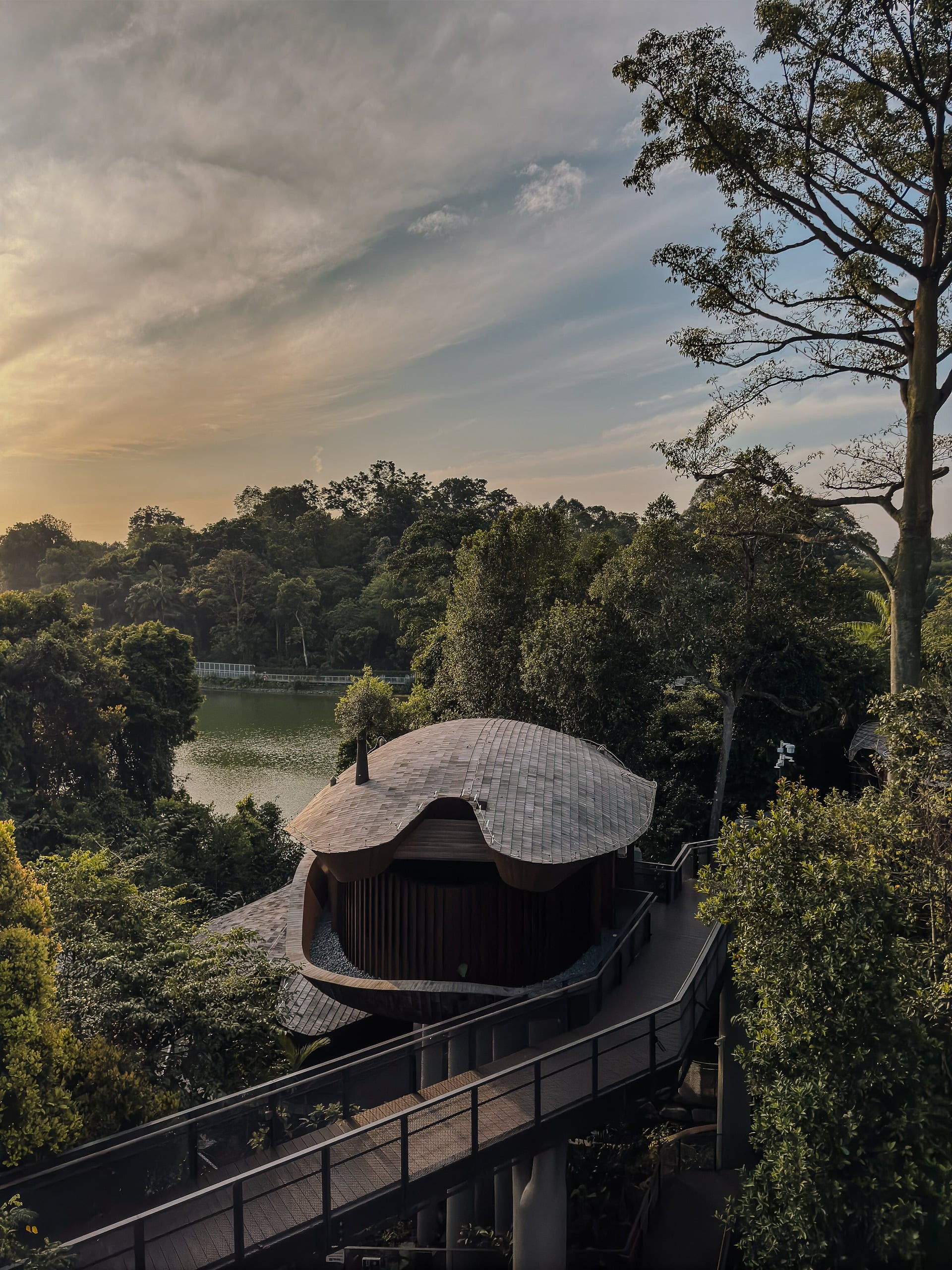Mandai Rainforest Resort, Singapore — hospitality photograph 3 of 5 by Adrien Lahoussaye